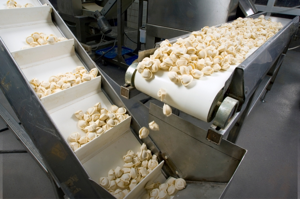 Food Grade Conveyor Belt